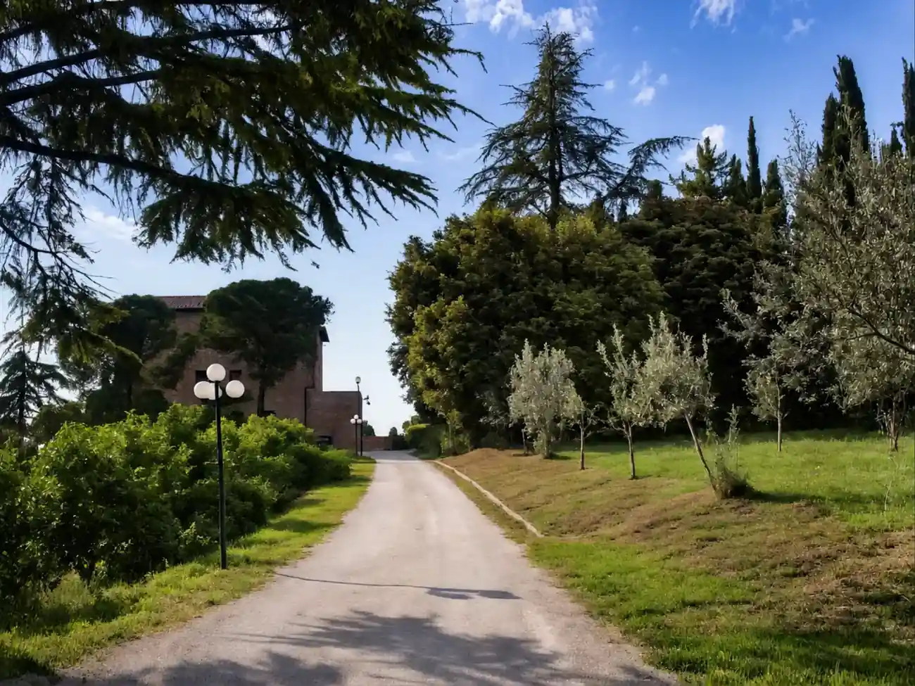 Giardino tranquillo e ulivi